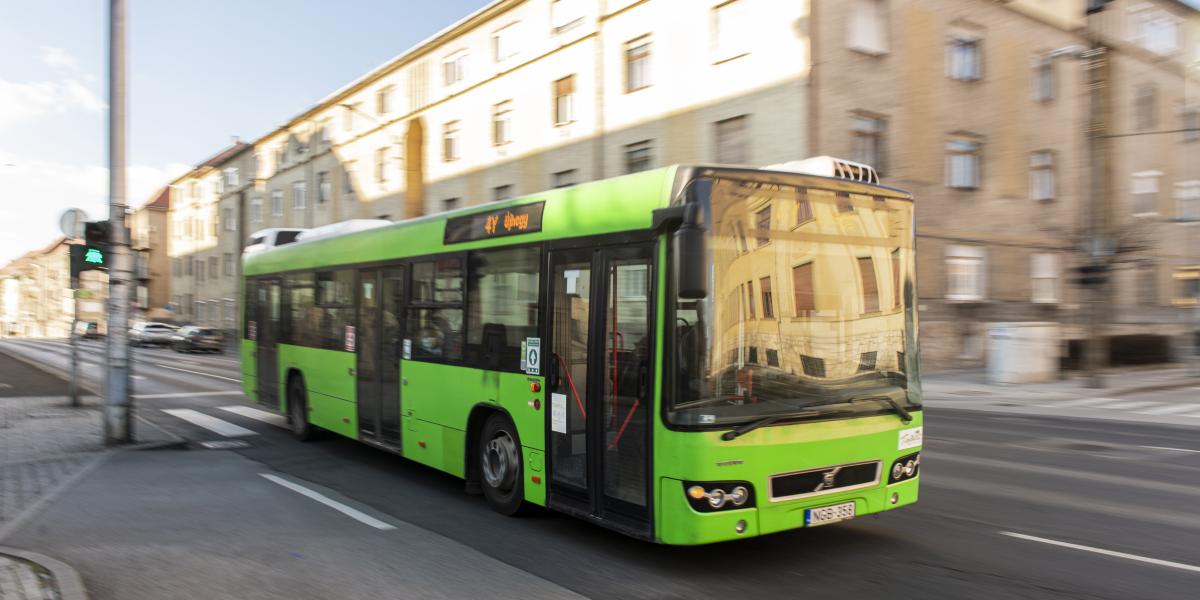 Pécs. Busz. Az újraélesített ügy szálai 2014 őszére nyúlnak vissza