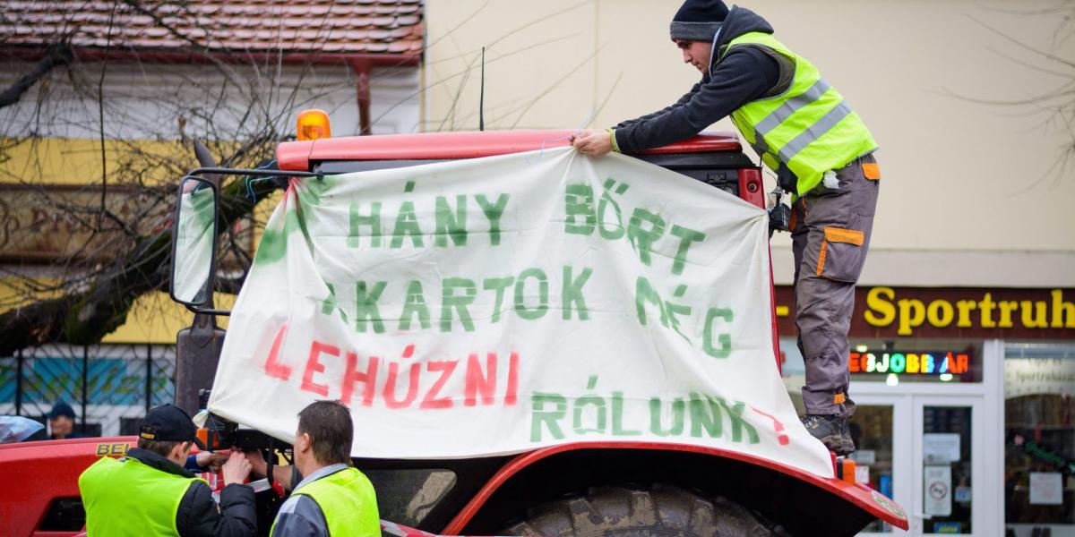 MTI Fotó: Czeglédi Zsolt