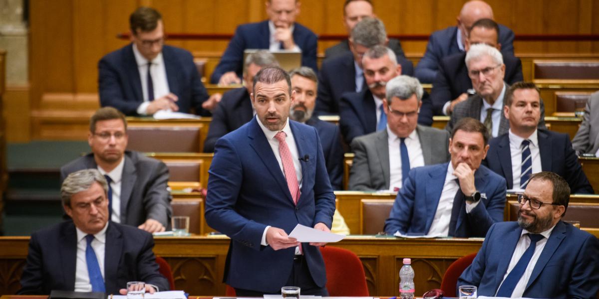 Tárkányi Zsolt - Korábbi felvétel 