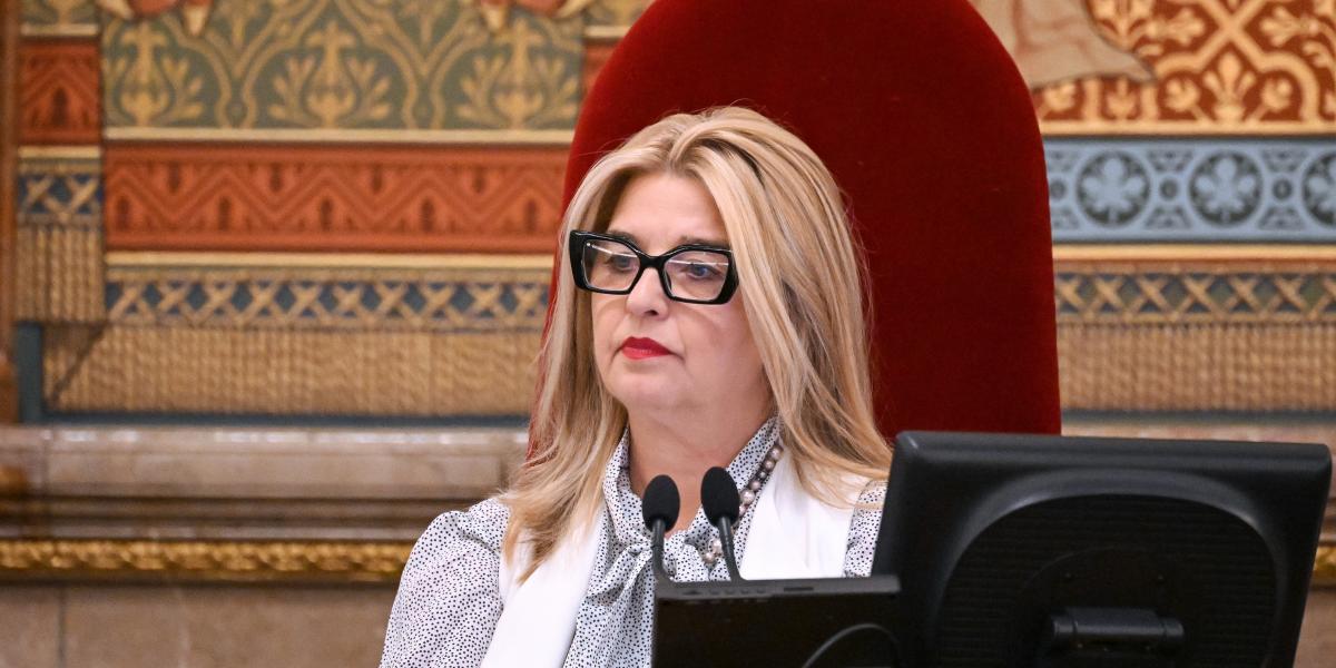 Hallerné Nagy Anikó az Országgyűlés rendkívüli ülésén július 14-én 