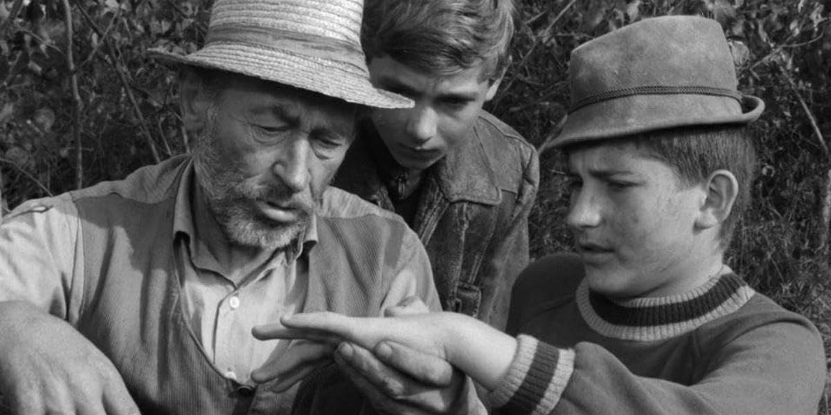 Egyre gyakrabban kaphatjuk magunkat azon, hogy műsort keresve az M1-re is kíváncsian kattintunk, milyen csemegét ismételnek éppen (Matula bácsi, Bütyök és Tutajos a Tüskevárban)