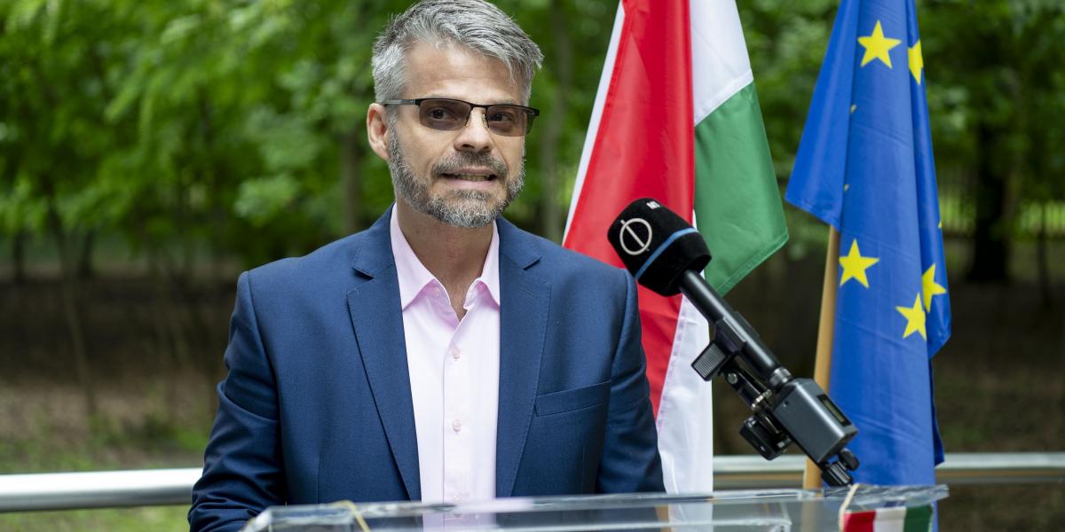 Szedlák Miklós György - Korábbi felvétel