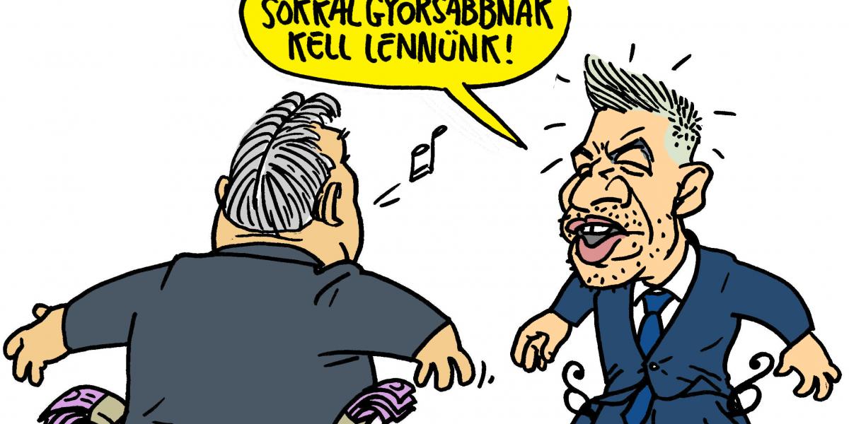 Volt egyszer egy vadkelet 