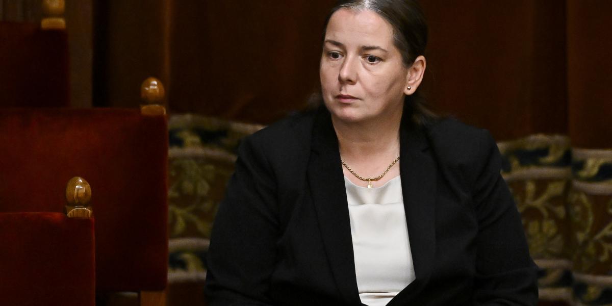  A magyar törvény alapján az NVVH elnöke erős vezető, de korántsem egyedüli büntetőjogi döntéshozó