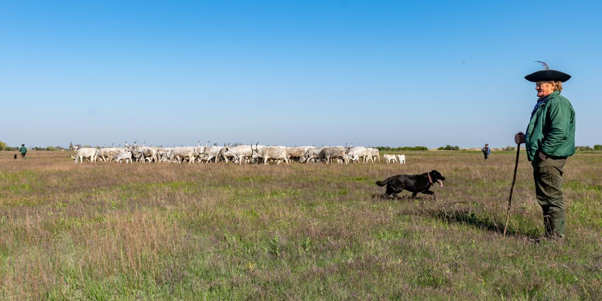 Hortobágyi Nemzeti Park