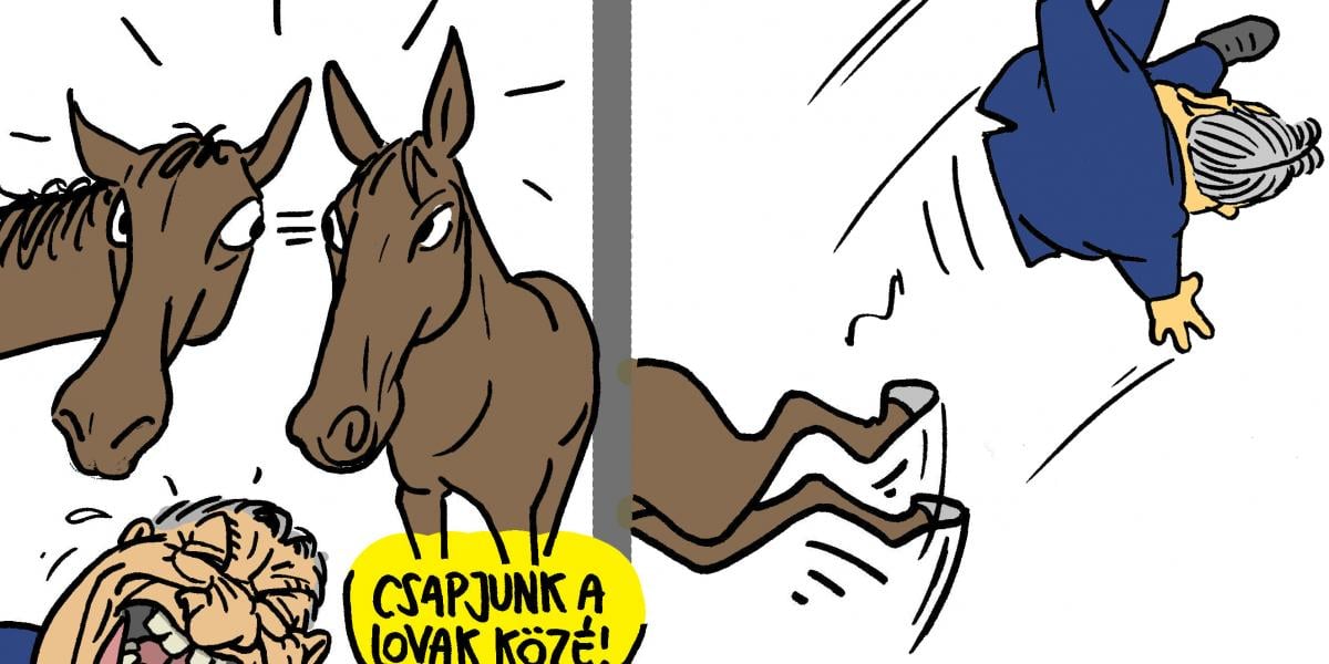 Pápai Gábor karikatúrája