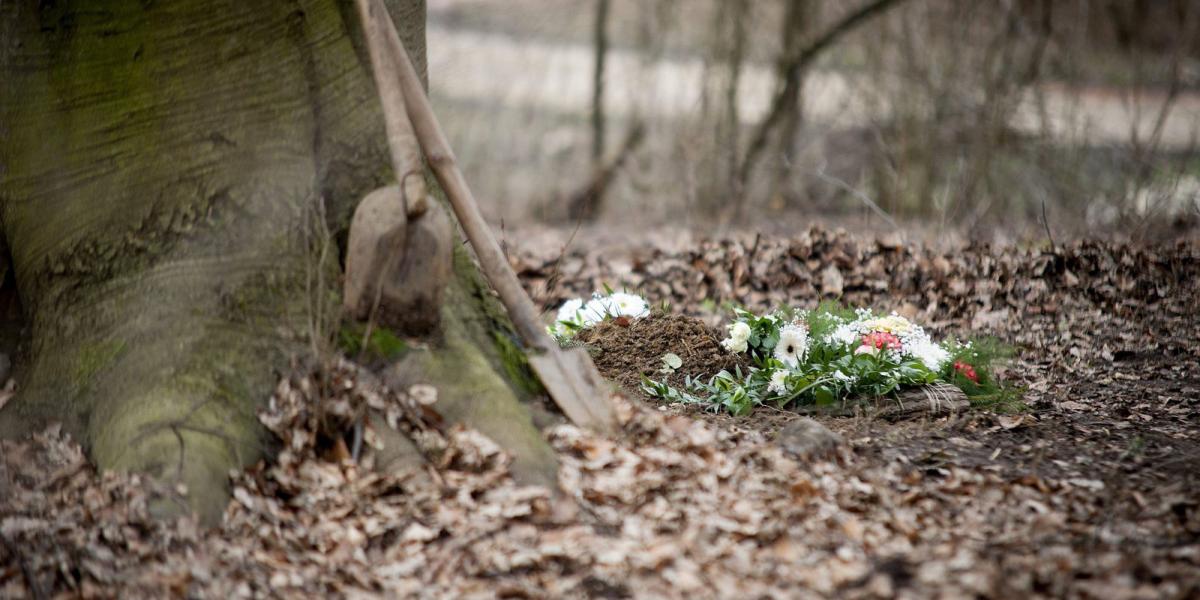 MTI Fotó: Krizsán Csaba