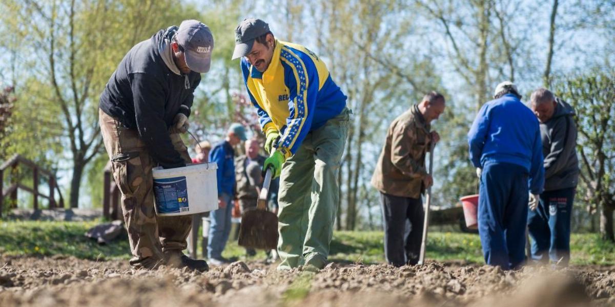 Kézzelfogható segítség az Élelmiszerlavina programtól FORRÁS: ÉLELMISZERBANK EGYESÜLET