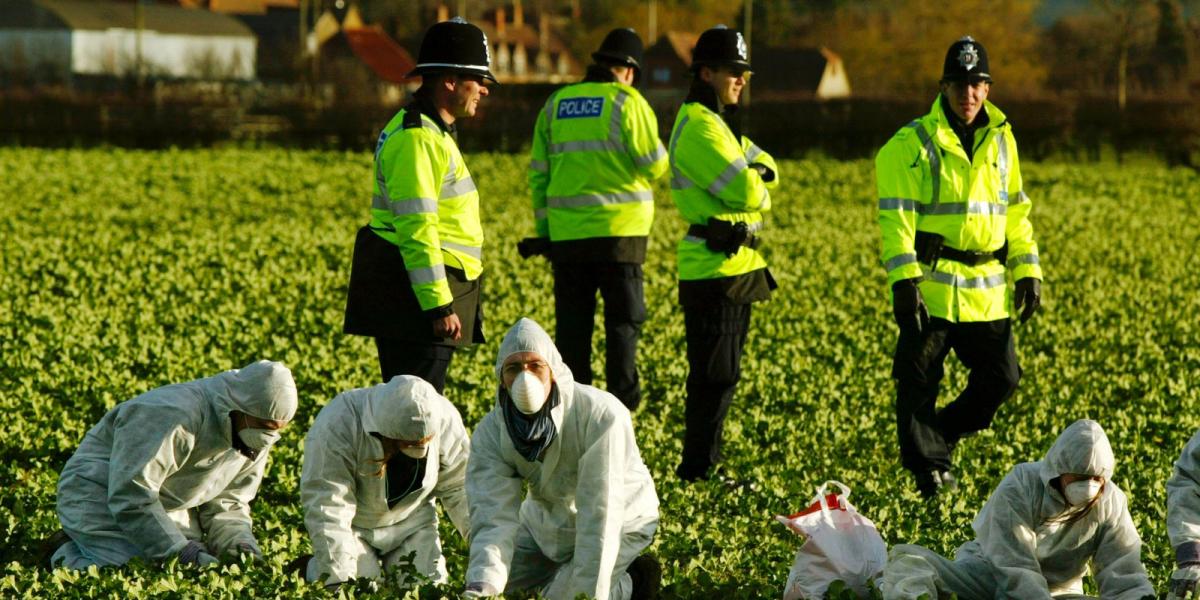 GMO-ellenes demonstráció Nagy-Britanniában Fotó: Sion Touhig/Getty Images 