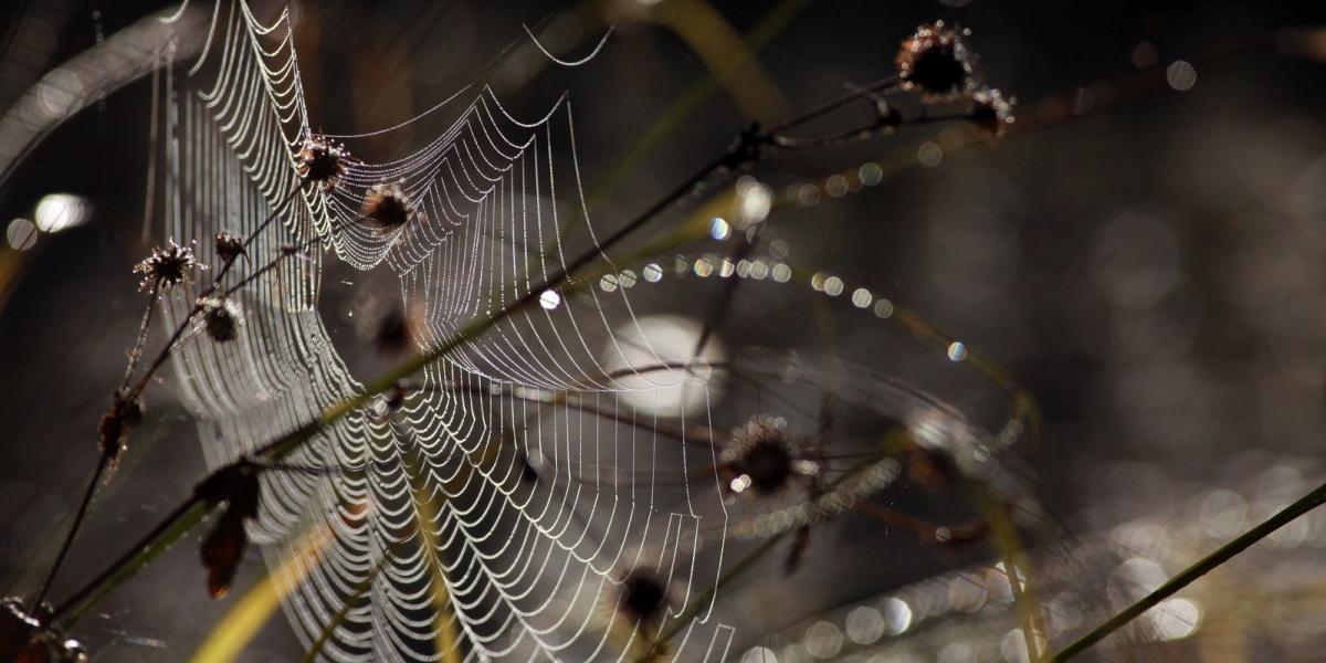 Fotó: Matt Cardy, Getty Images.