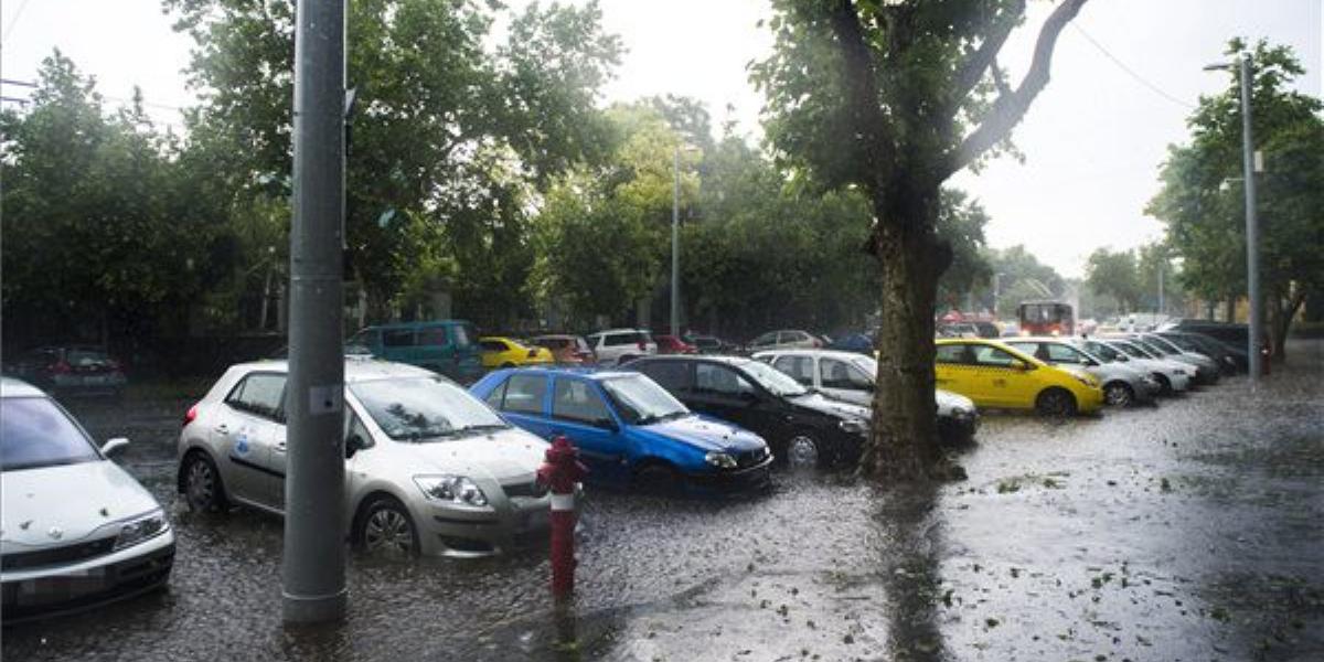 MTI Fotó: Illyés Tibor