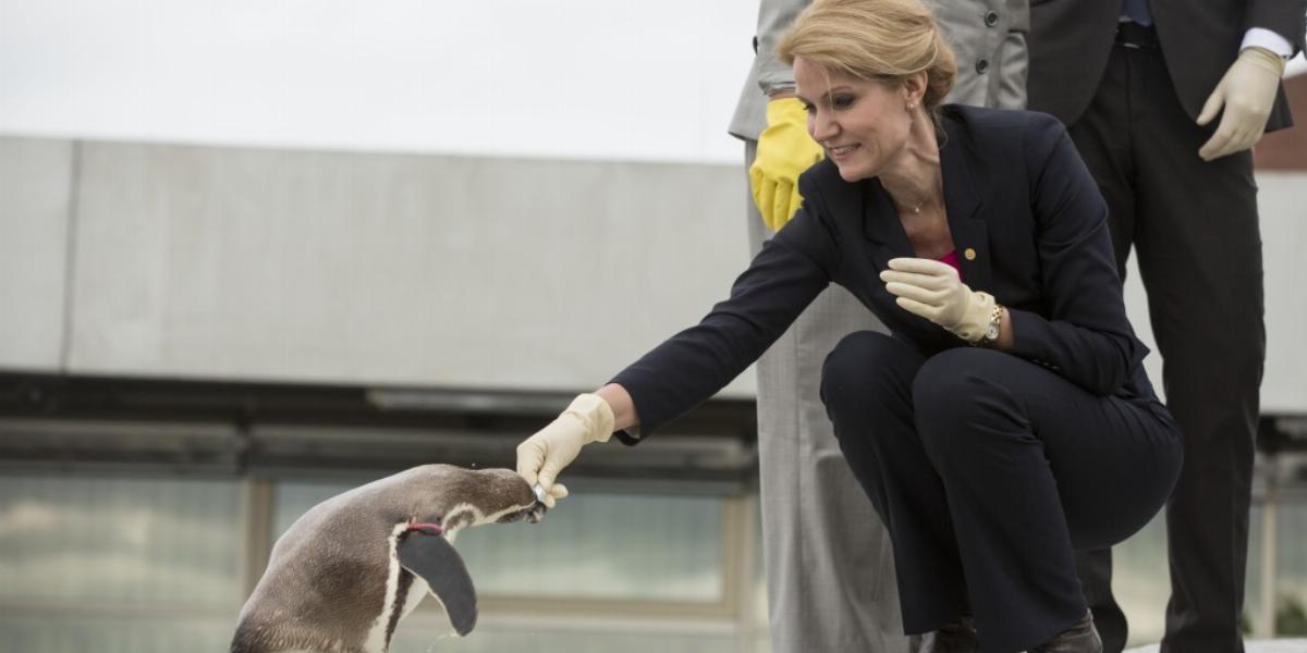 Helle Thorning-Schmidtet megkedvelték az emberek FOTÓ: EUROPRESS/GETTY IMAGES