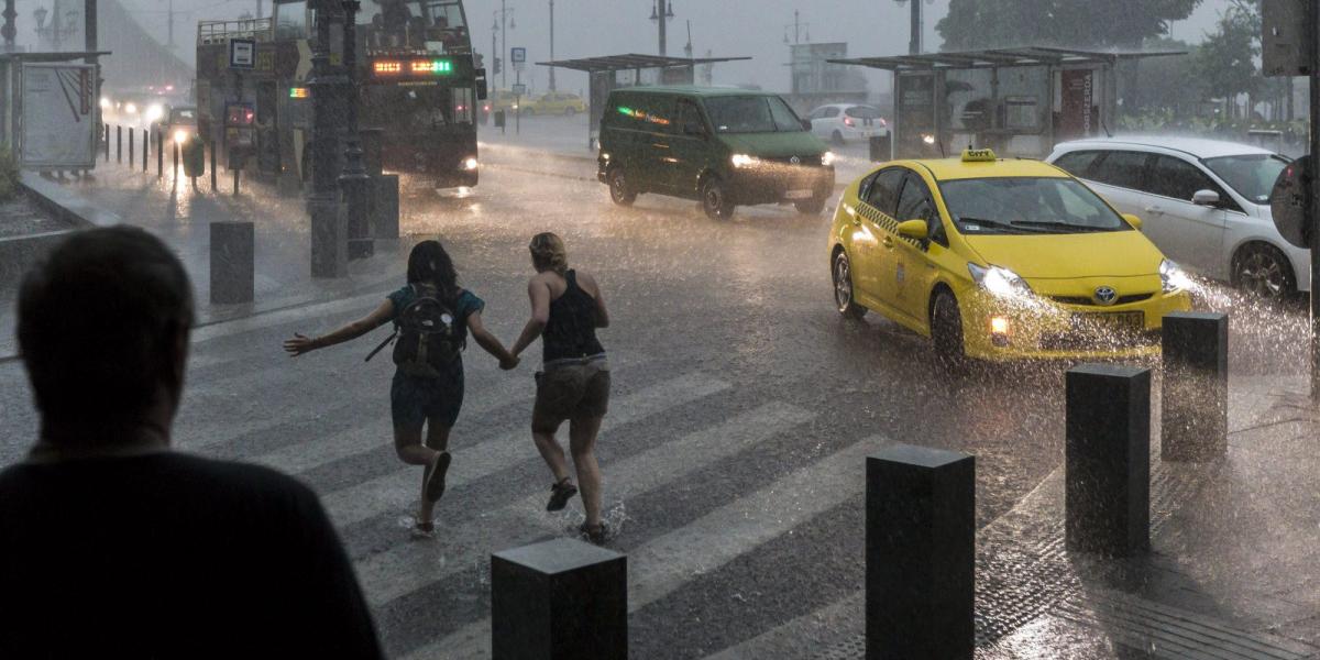 MTI Fotó: Szigetváry Zsolt
