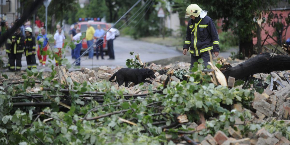 Egy tűzoltó Budapest X. kerületében, a Cserkesz utcában 2015. július 8-án keresőkutyájával a viharban kidőlt téglafal romjait el