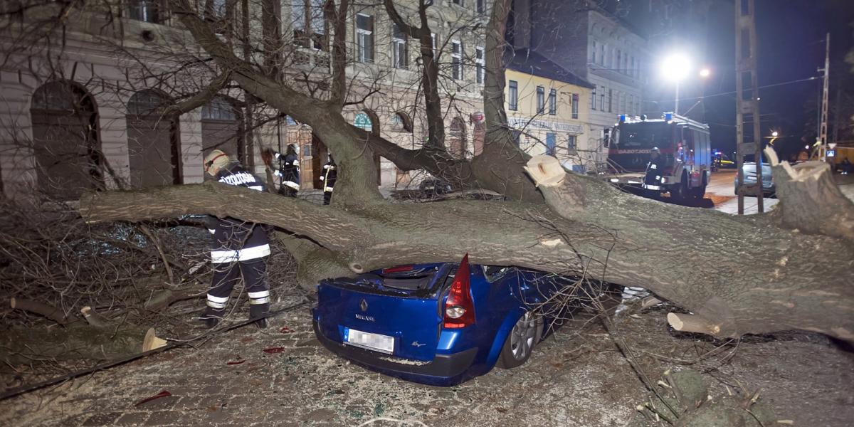 Tűzoltók dolgoznak Budapesten, a VIII. kerületi Dobozi utcában, ahol a viharos erejű szél kidöntött egy fát, amely parkoló autók