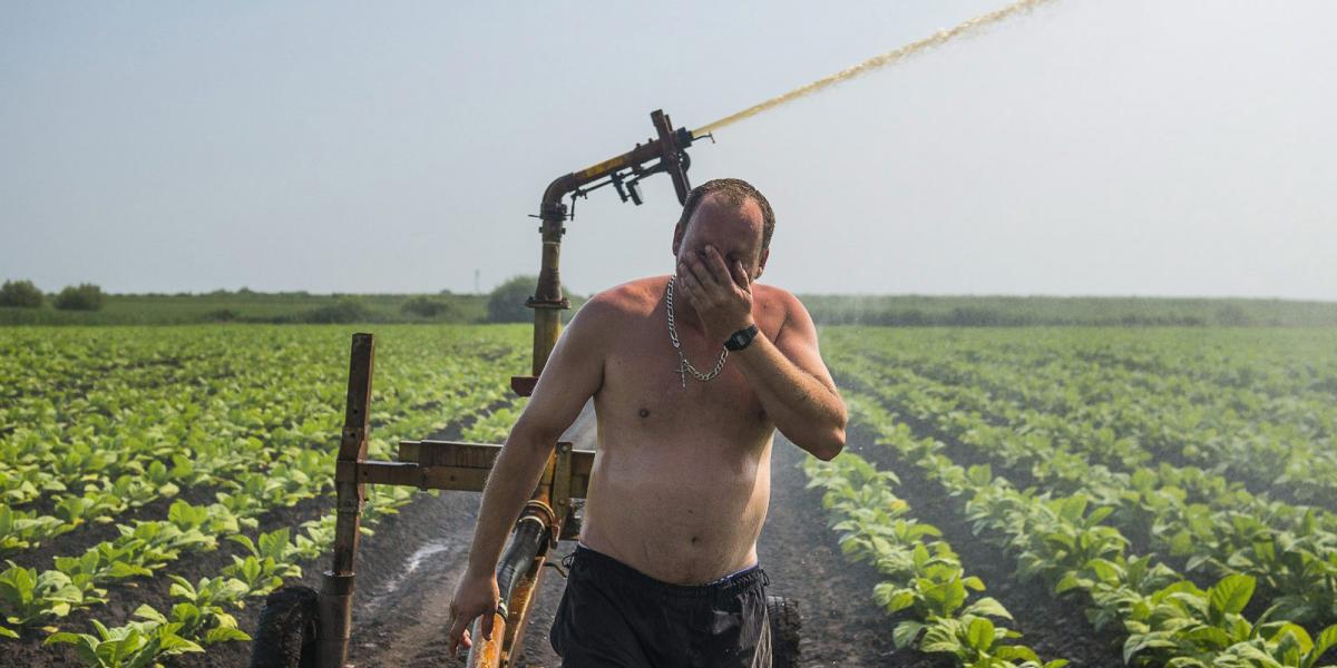 A széttagolt parcellákon nehezen lehet öntözőrendszert létesíteni és gazdaságosan működtetni FOTÓ: MTI/BALÁZS ANTAL