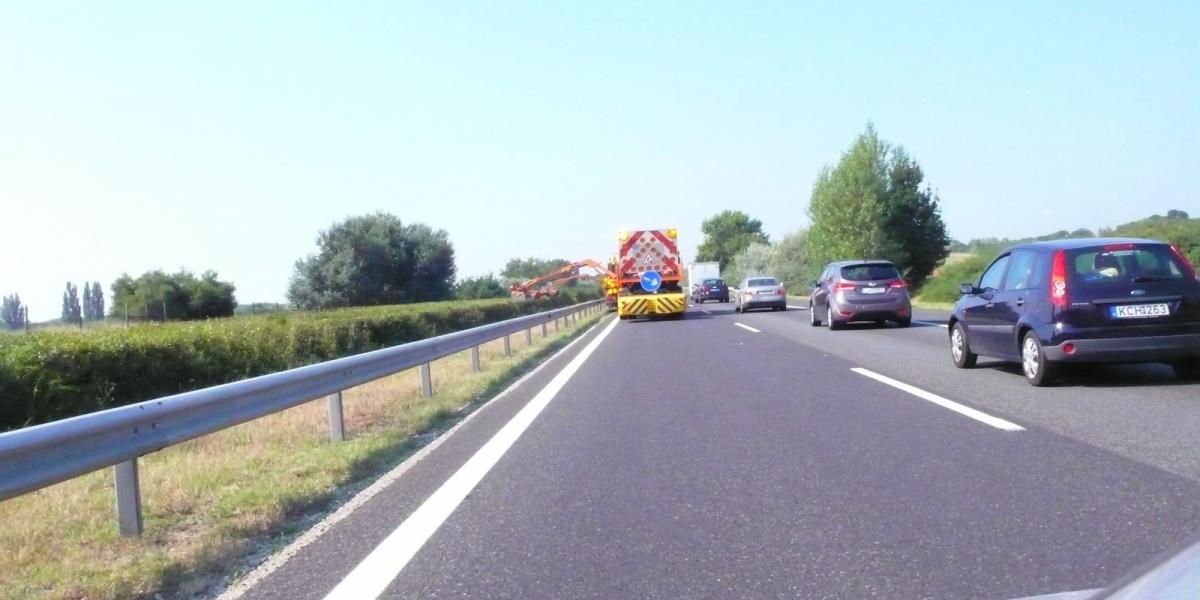 Vajon miért halaszthatatlan a főszezonban, hétvégén sövényt nyírni? FOTÓ: VERESS JENŐ