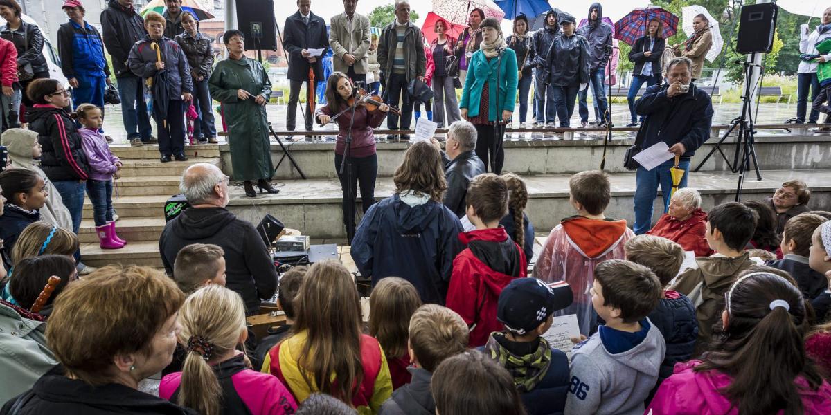 MTI Fotó: Szigetváry Zsolt