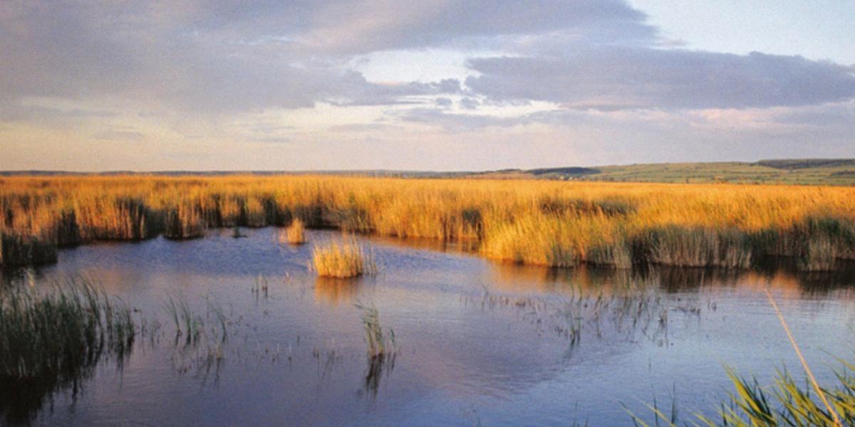 A Fertő tó Fotó: Népszava