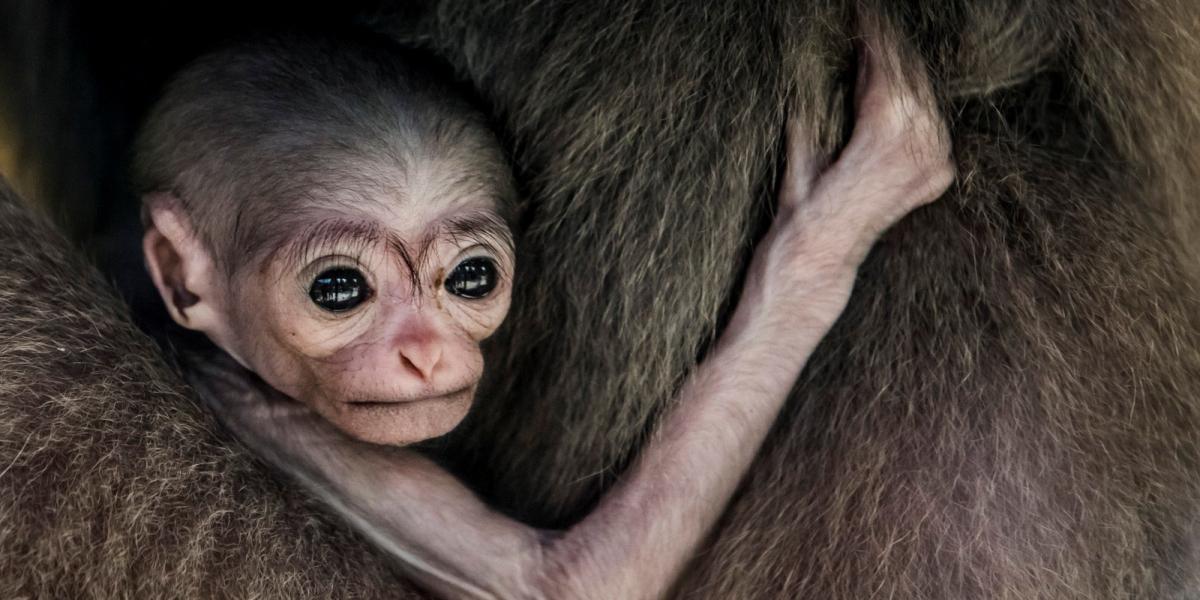 Fotó: Gettyimages