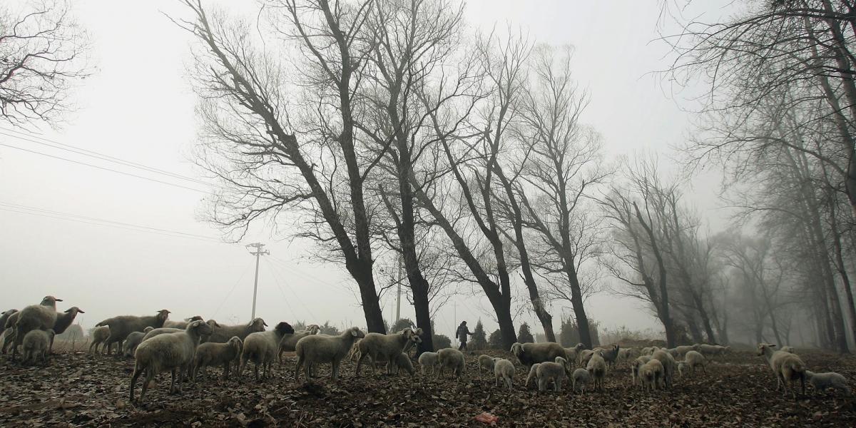 Fotó: Getty Images