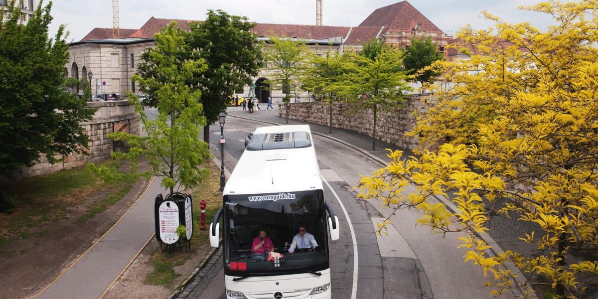 Leszervezett és megtervezett turistacsoportok tanakodhatnak, hogyan jutnak fel a Várba FOTÓ: TÓTH GERGŐ