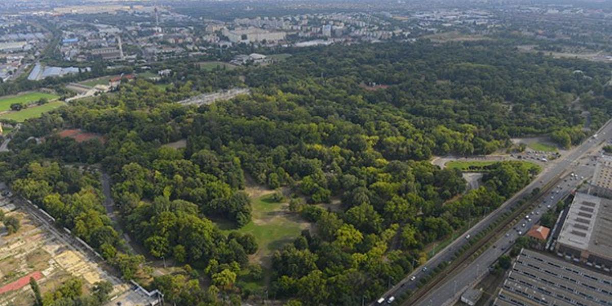 A Népliget jelentős hányadát értékes növénygyűjtemény borítja FORRÁS: LEGIFOTO.HU