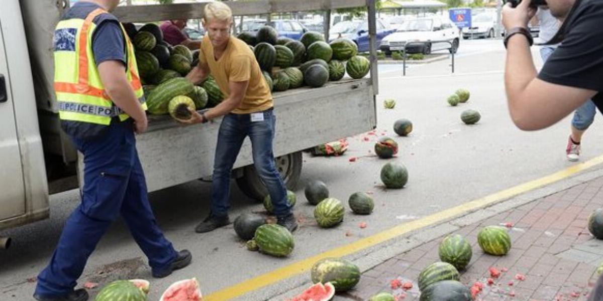  Egy termelő dinnyét dobál a Tesco budaörsi hipermarketje elé MTI Fotók: Soós Lajos