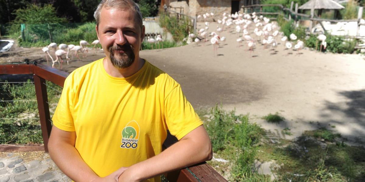 Hanga Zoltán szerint a Vidám Park helyére tervezett biodóm az embereknek és az állatoknak is jó lesz FOTÓ: TÓTH GERGŐ