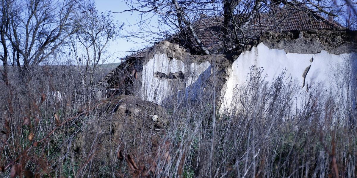 Illusztráció: Molnár Ádám/Népszava