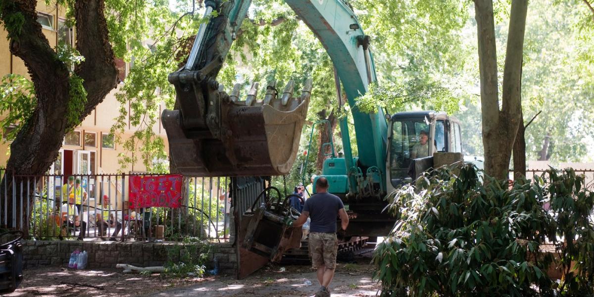 Korábbi fakivágás a Városligetben. FOTÓ: Tóth Gergő/Népszava