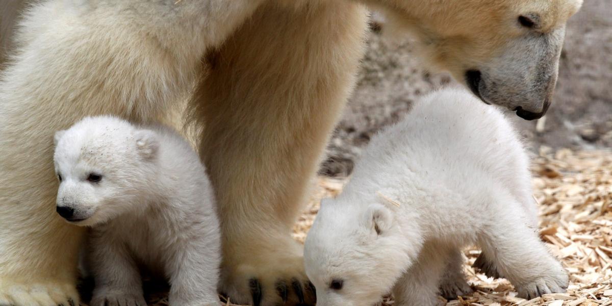 Fotó: Alexandra Beier/Getty Images