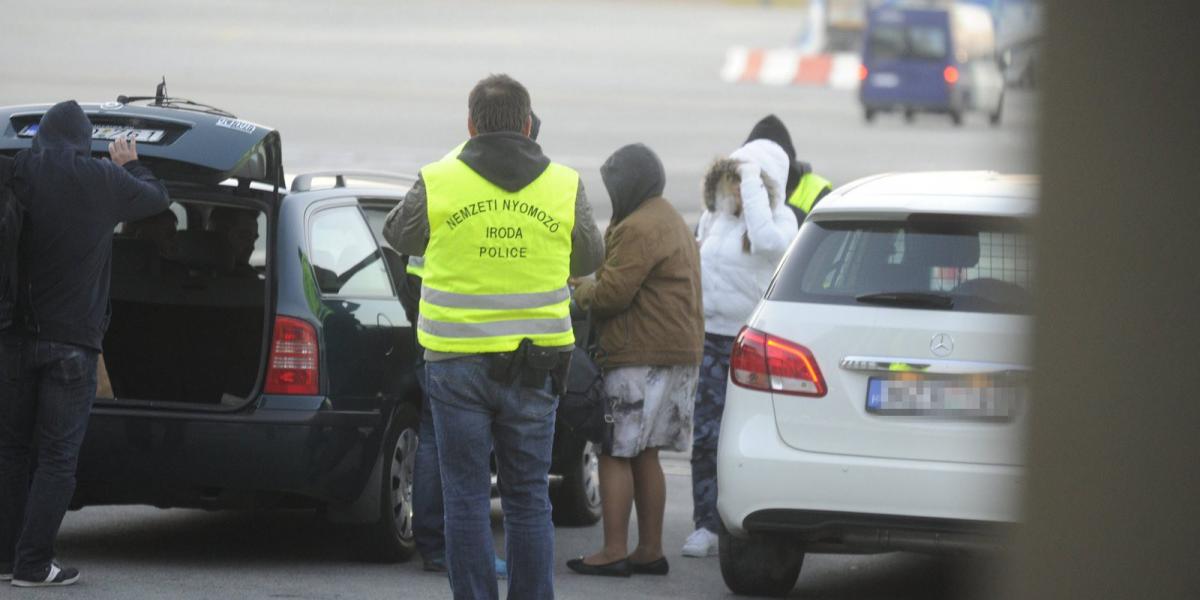 Marcsika a ferihegyi repülőtéren. MTI Fotó: Mihádák Zoltán