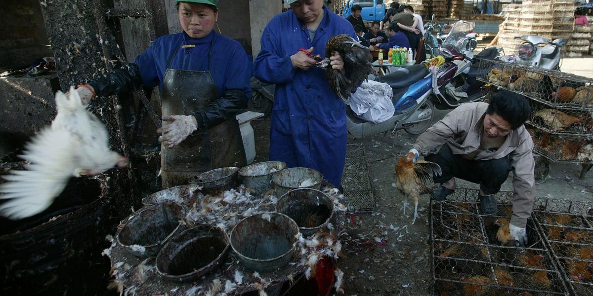 Illusztráció. Fotó: China Photos/Getty Images