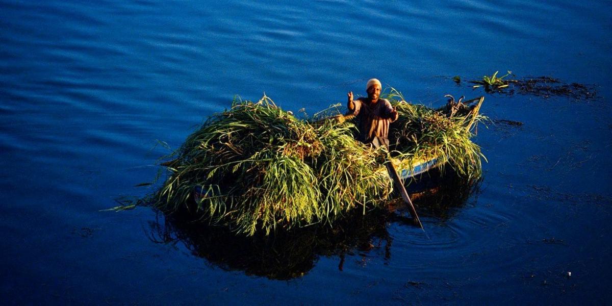 Forrás: Yann Arthus-Bertrand/Facebook