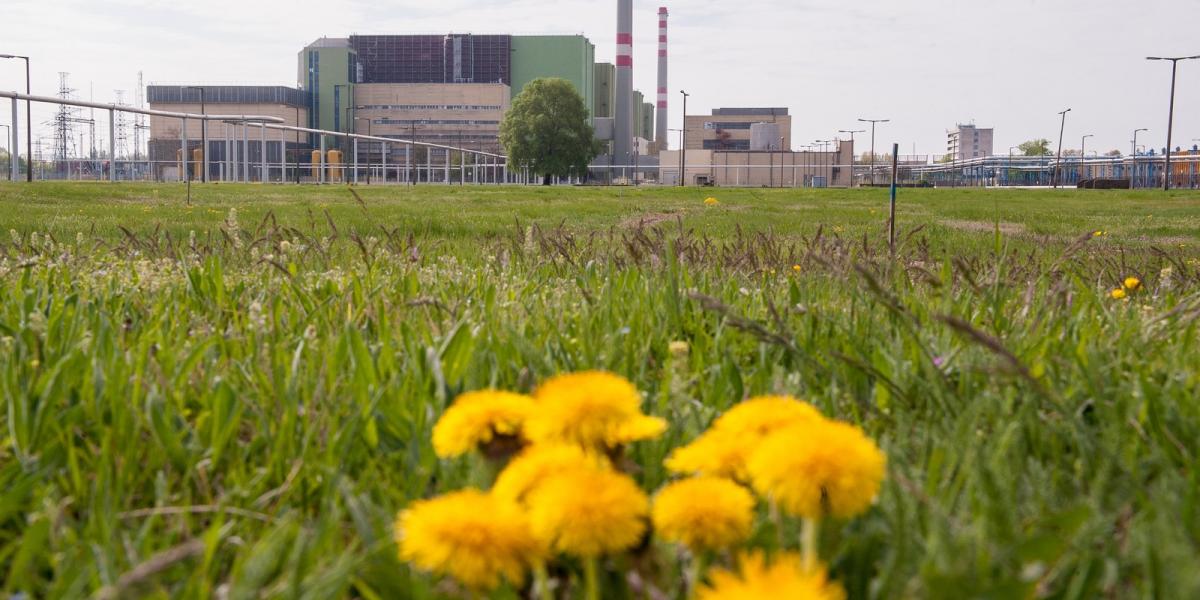 A Greenpeace-nél attól tartanak, hogy a bővítés farvizén egy „mini csúcsminisztériumot” hoznak létre FOTÓ: MOLNÁR ÁDÁM