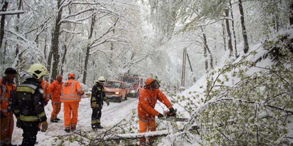 Főleg kidőlt fák zárták el az utakat az elmúlt napokban MTI FOTÓ: Komka Péter