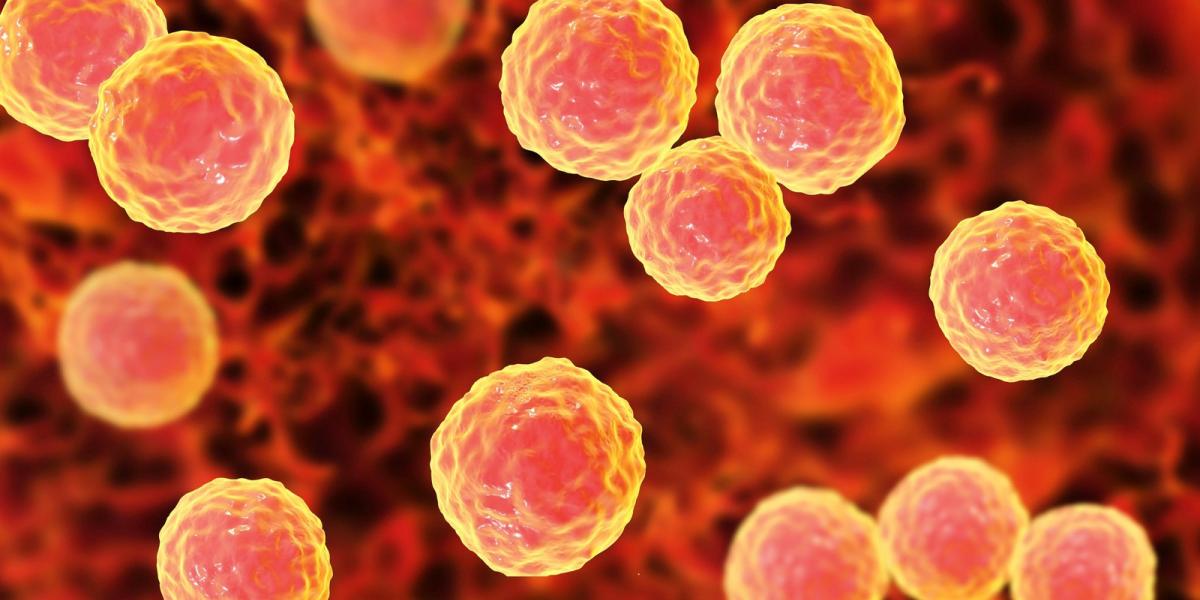 Enterococcus baktérium Illusztráció: Thinkstock