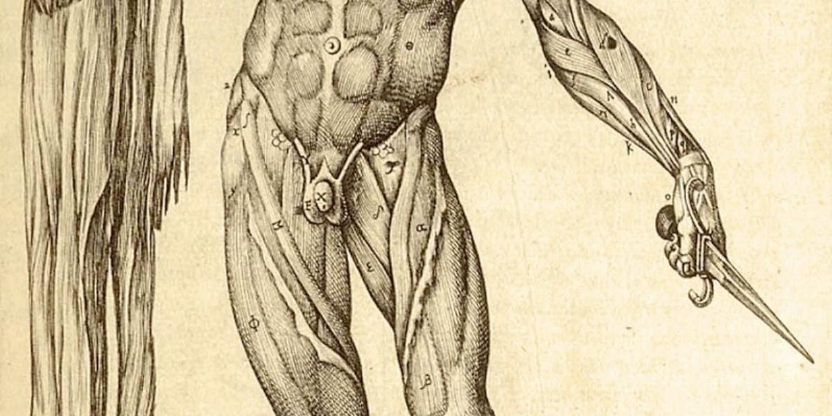 ILLUSZTRÁCIÓ: JUAN VALVERDE DE AMUSCO’S HISTORIA DE LA COMPOSICION DEL CUERPO HUMANO (ROME, 1560)