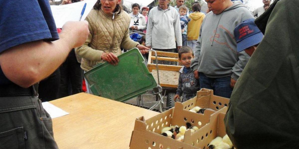 Forrás: Minden Gyerek Lakjon Jól Alapítvány