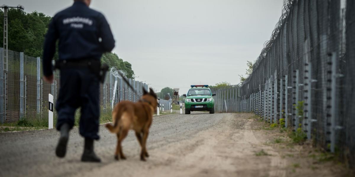 Röszkén - AFP fotók