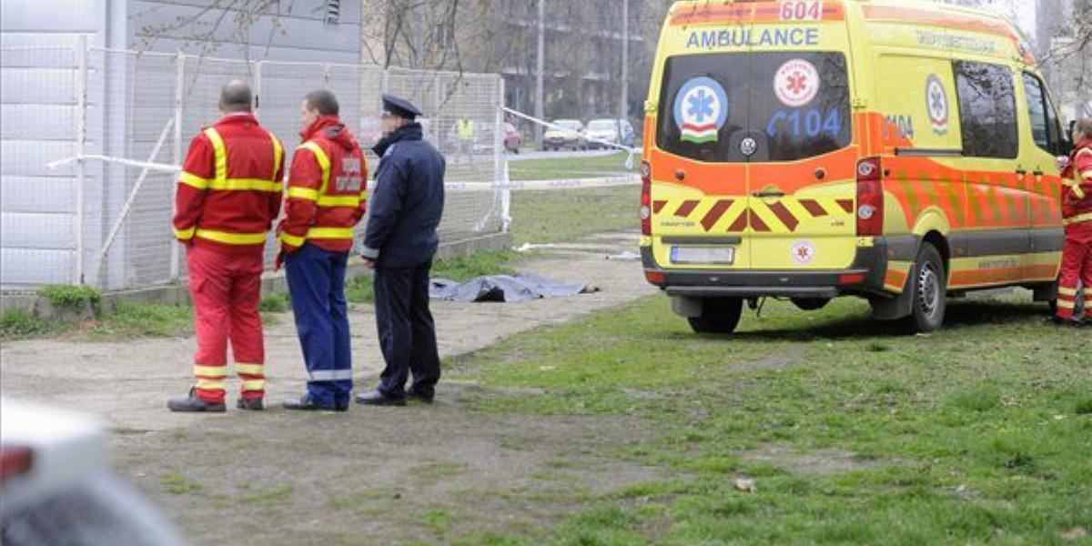 Letakart holttest Budapest X. kerületében a Száva utca és Zágrábi utca kereszteződéséhez közeli, félreeső területen 2014. márciu