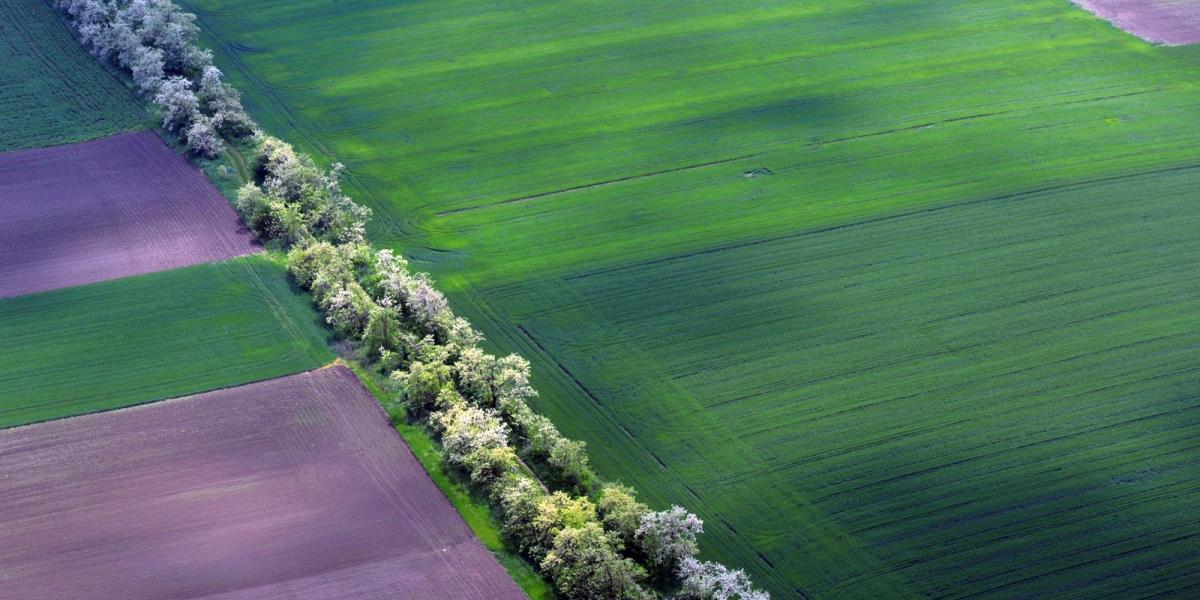 Most a megfelelő okmányok hiánya akadályozza, hogy a termőföldforgalom beinduljon. Fotó: Bielik István/Népszava