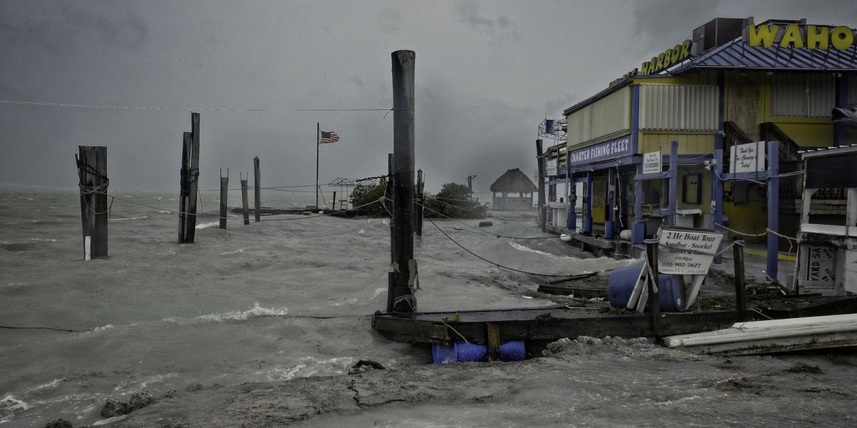 FOTÓK: NICHOLAS KAMM / AFP