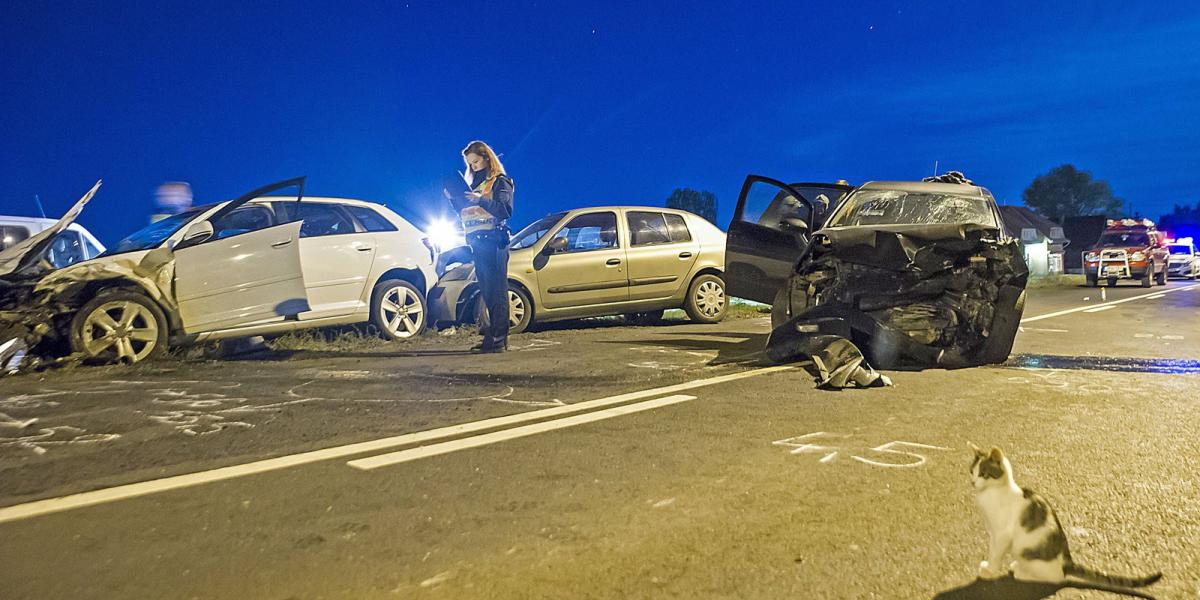 Helyszínelés egy kíváncsi macskával  - MTI Fotó: Lakatos Péter