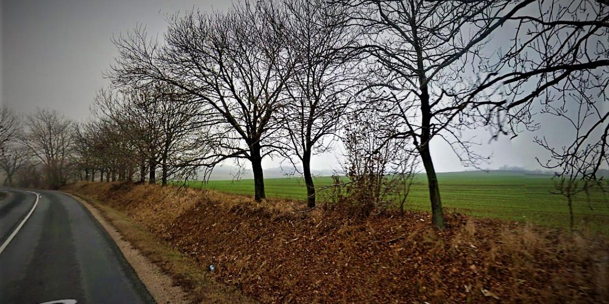 A helyszín a végzetes árokkal - Google Street View