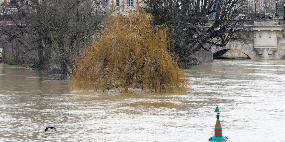 FOTÓ: GEOFFROY VAN DER HASSELT / AFP