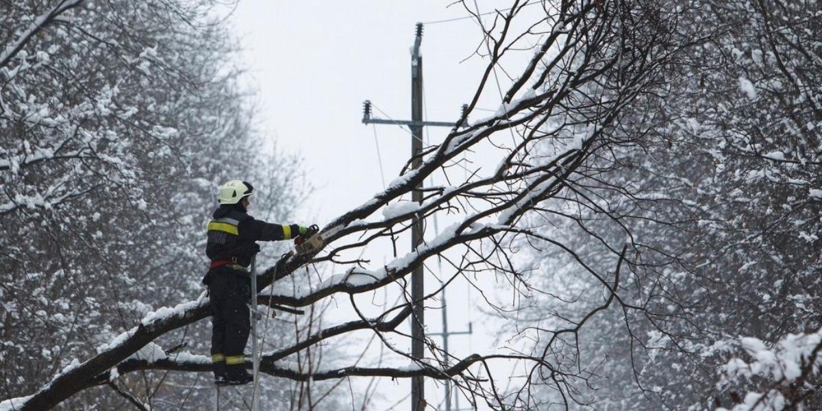 Tűzoltók dolgoznak a hóesés miatt a villanyvezetékre dőlt fa eltávolításán Rédics és Szijártóháza között az erdőben 2018. februá