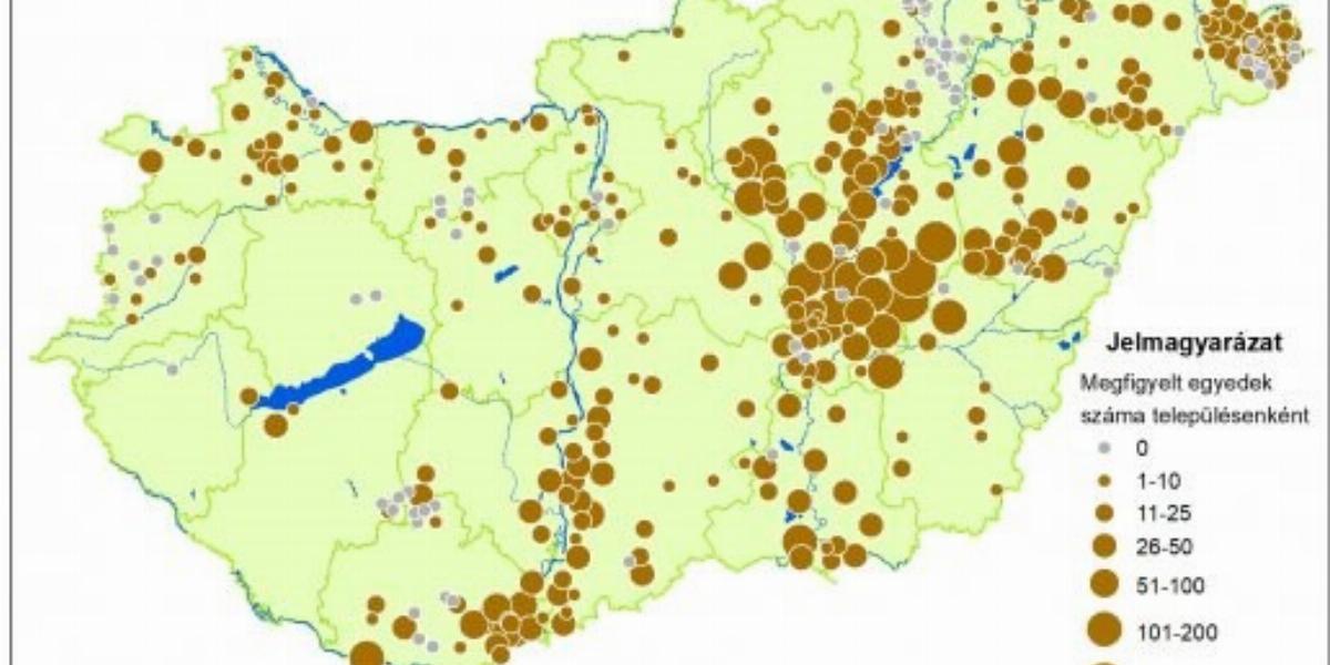 A 2018. január 19-22. között zajló országos telelő erdei fülesbagoly számolás eredményei 
Forrás: MME