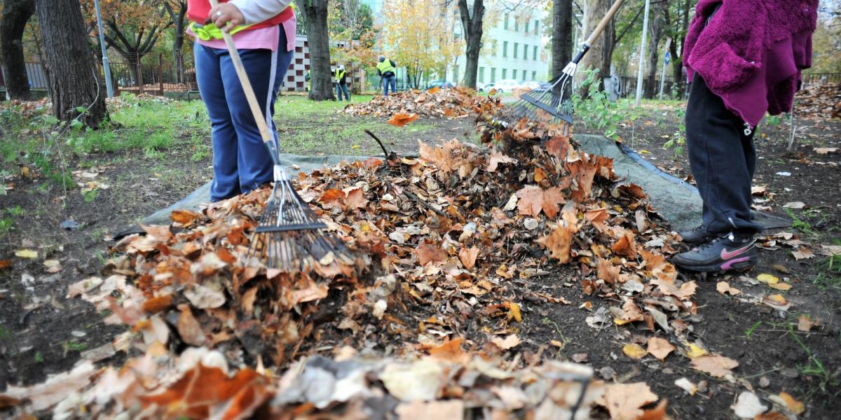 Illusztráció. Fotó: Tóth Gergő

